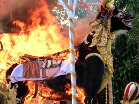 Ceremonial Papier Mache Bull A Royal Cremation in Ubud