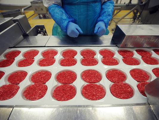 France hunting fraudsters in horsemeat scandal