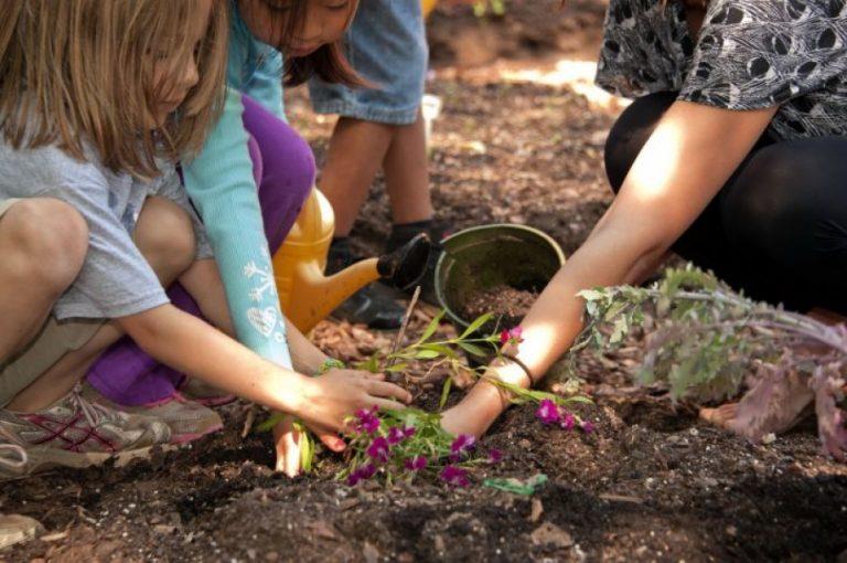 Family Friendly Garden Planning