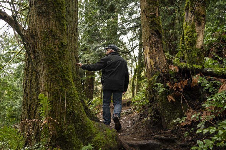To build up urban forests, WA cities could get help from the state