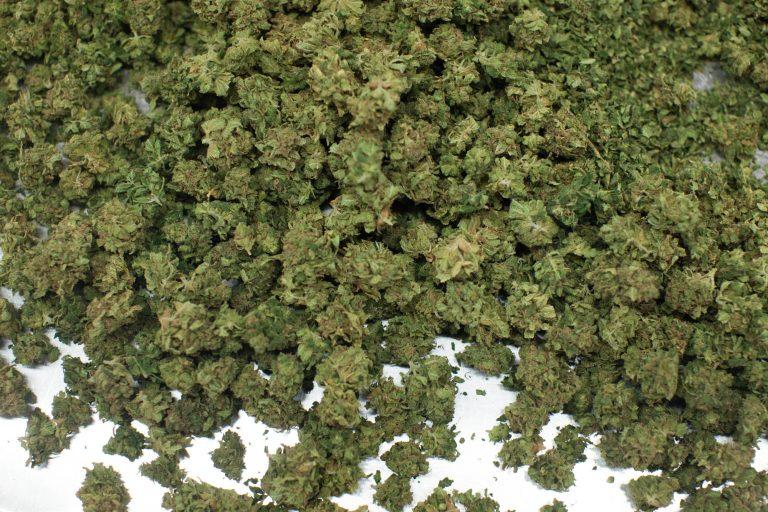 Centralia pot lab may be the first in WA to lose its certification
