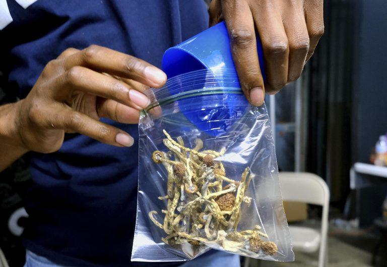 Is it time for Seattle to decriminalize shrooms and psychedelics?