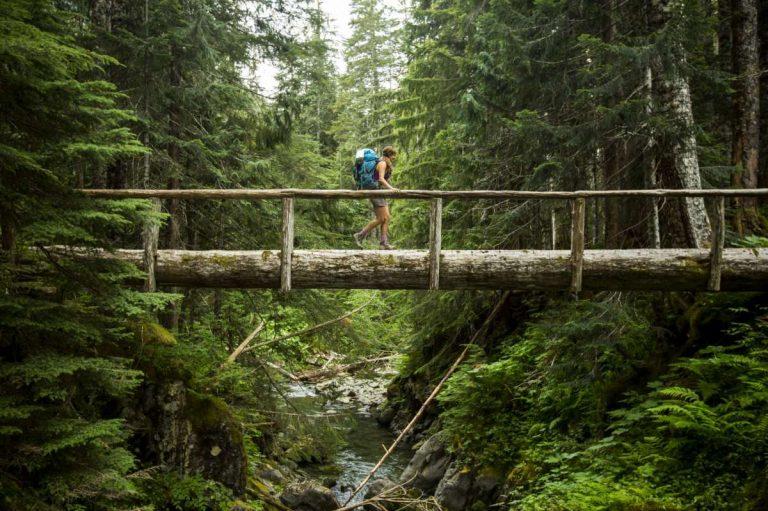 Report: Washington state spends $1.3 billion on parks, recreation annually