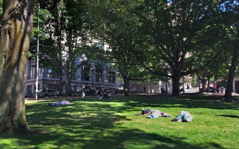 King County Councilmember proposes legislation to condemn Seattle's City Hall Park as safety hazard