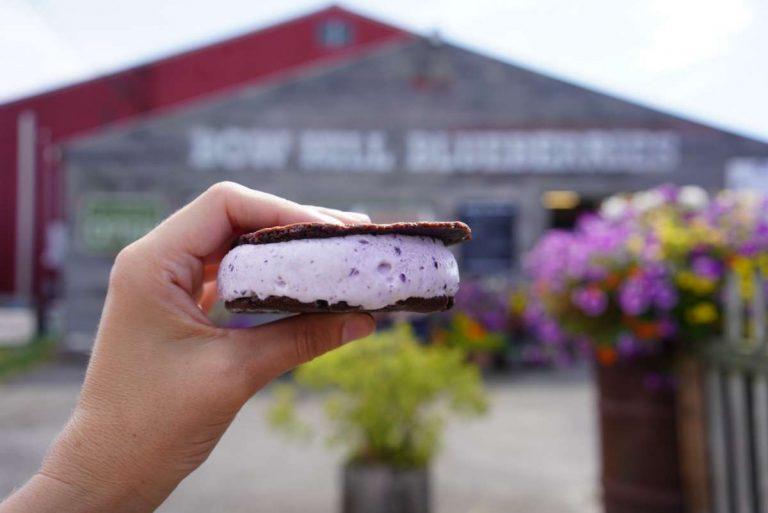 Farmstand Fresh celebrates Washington's Skagit Valley farms this summer