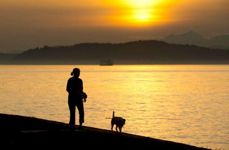 Two popular Seattle parks will close early this summer, city says