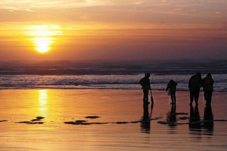 Washington's razor clam digs return in September with increased limits