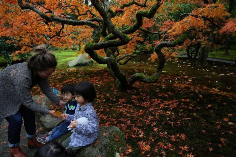 First day of autumn: 7 of Seattle's best parks and trails to see fall foliage