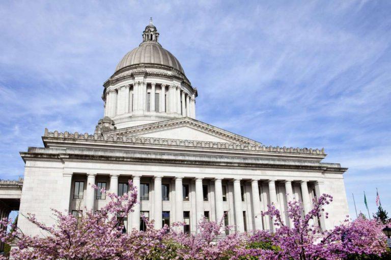 Ban on high-capacity magazines headed to Washington House