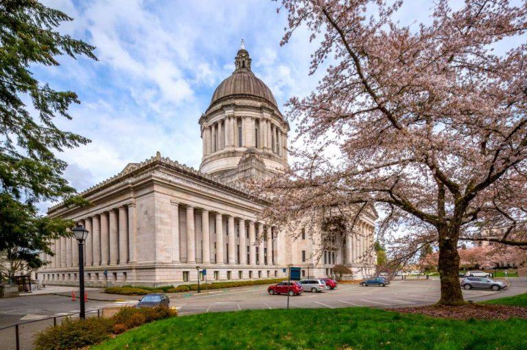 Washington House approves banning guns at ballot-counting sites, school board meetings