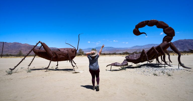 San Diego Road Trips to Take in Your Lifetime