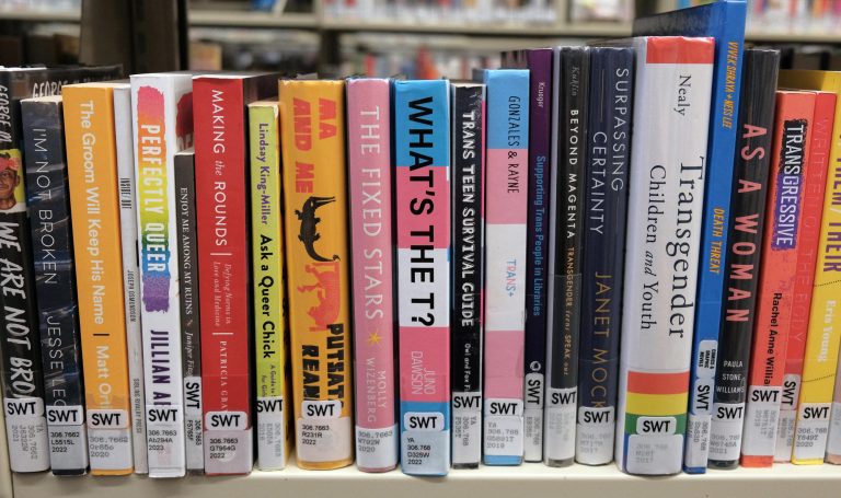 A WA city council might give itself the power to ban library books