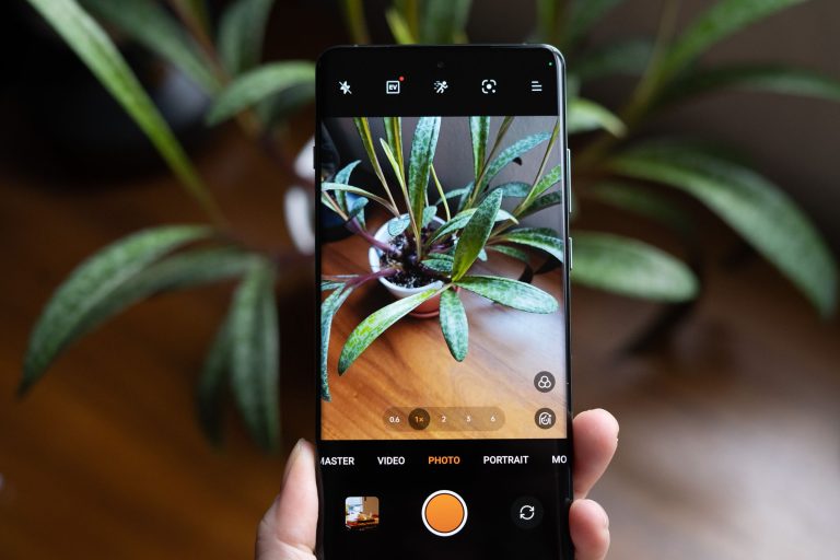 OnePlus 12 review: refreshingly basic