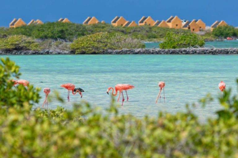 4 Best Islands In The Caribbean To Visit In April 2024
