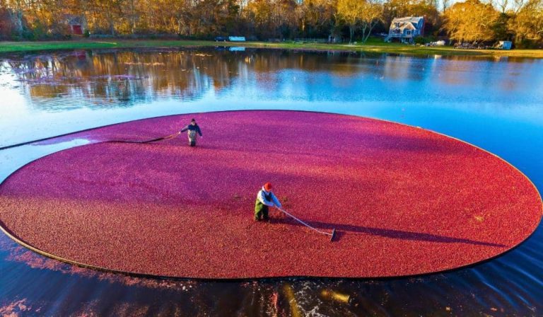 7 Incredible Hidden Gems In Massachusetts To Visit In 2024