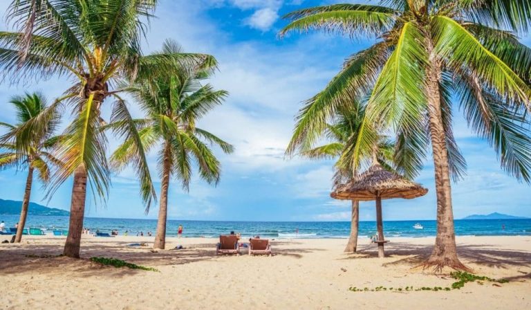 This Affordable City Is Becoming Miami Of Asia Attracting Thousands Of Digital Nomads