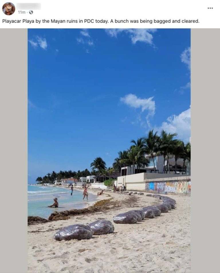Mexican Caribbean Sees The First Significant Sargassum Invasion in 2025