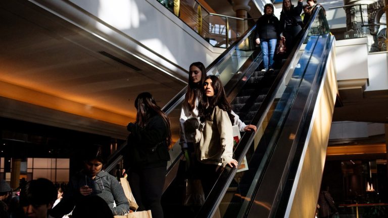 Shopping malls are making a comeback in America