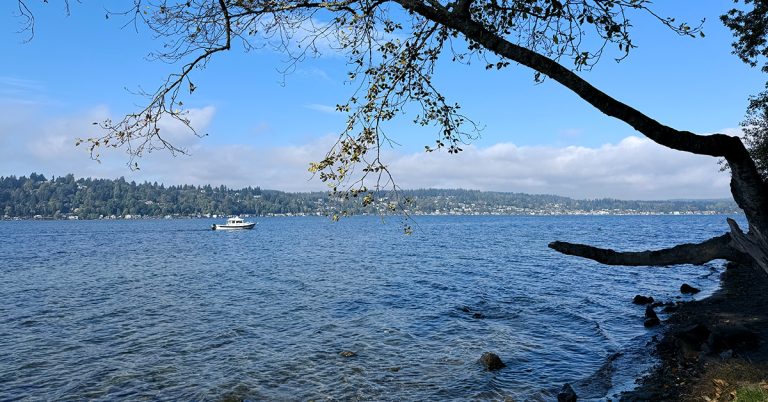 21 Things to Do in Eastside Seattle