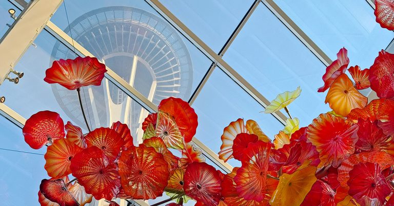 20 Best Tours in Seattle As Told by a Local