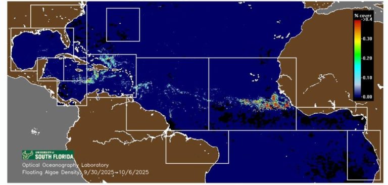 Cancun Enters Final Stretch of 2025 Sargassum Season — Clearer Waters Ahead