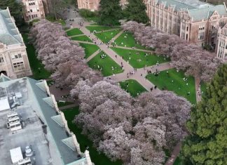 UW enrollment grows across all 3 campuses; Washington residents dominate incoming class