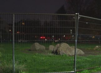 Seattle extends closure of three parks due to ‘negative activity’
