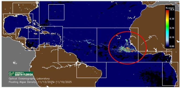 Cancun’s Hurricane & Sargassum Seasons Officially End in as High Tourism Period Begins