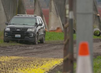 Olympic Pipeline returns to full service after repairs