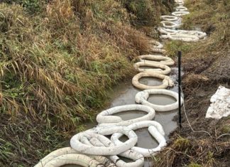 Olympic Pipeline remains shut down with leak source still unidentified, BP says