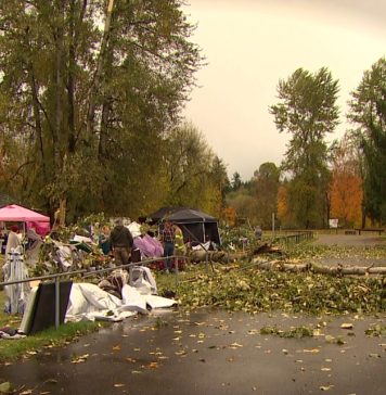 Vendors struggle to recover after deadly tree collapse at Washington Halloween event