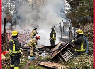 Wood-stove mishap sparks house fire north of Tenino; homeowner displaced