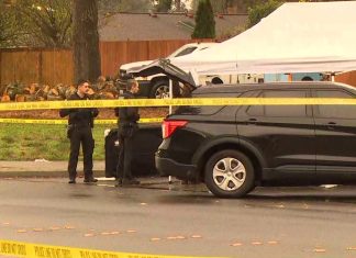 2 teens found dead lying in a crosswalk in Lacey
