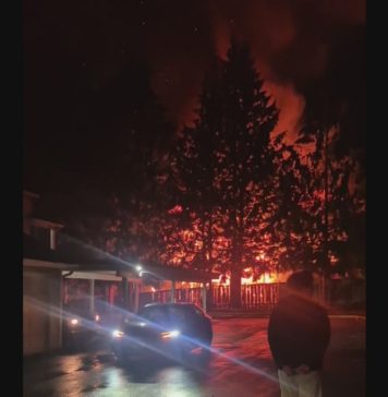 Fatal fire at Lynnwood apartment complex displaces 20