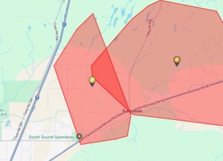 Crash near Sunnydale cuts power to more than 300 in Thurston County Sunday evening