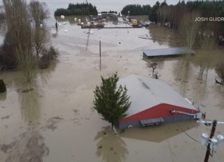 Looters in kayaks target flooded Snohomish farm as historic flooding continues