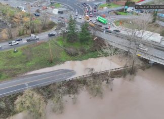 Evacuations issued in Orting due to concern over levees