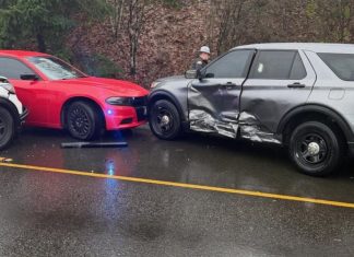 Video shows moments before suspect drags WSP trooper from car, steals patrol vehicle on I-5