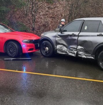 Video shows moments before suspect drags WSP trooper from car, steals patrol vehicle on I-5