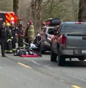 Falling tree kills woman on SR 203 ahead of atmospheric river