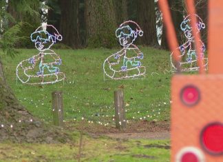 Centralia light display reopens after $30,000 vandalism attack