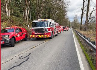 Falling tree kills 1, critically injures another on SR 203 near Carnation