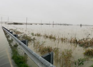 Live updates: River flooding, landslide risk continue in western Washington
