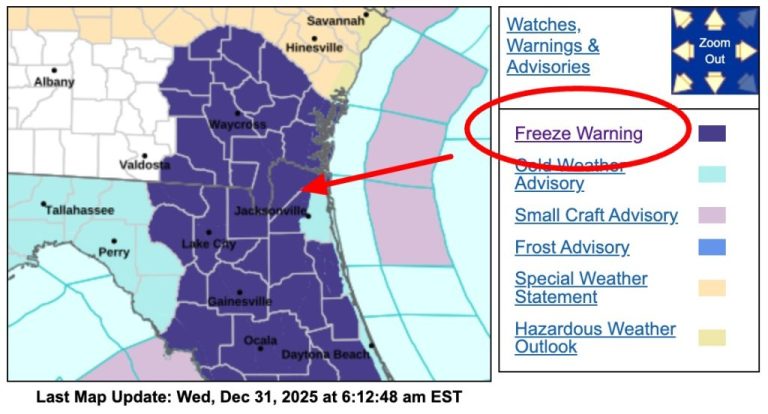 Freeze Warning Issued for Georgia and North Florida as Morning Temperatures Plummet