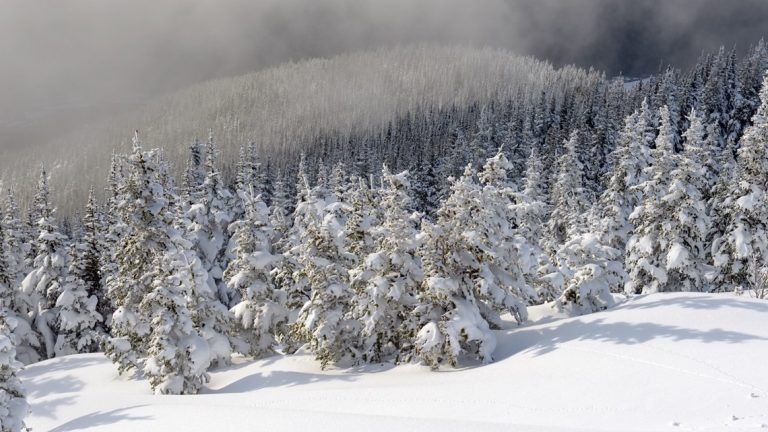 Avalanche southwest of Leavenworth kills 2