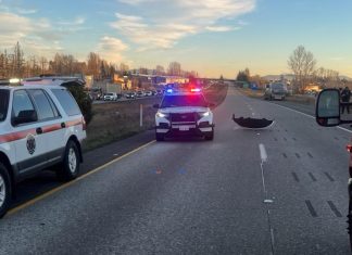 22-year-old woman killed in crash on I-5 in Ferndale