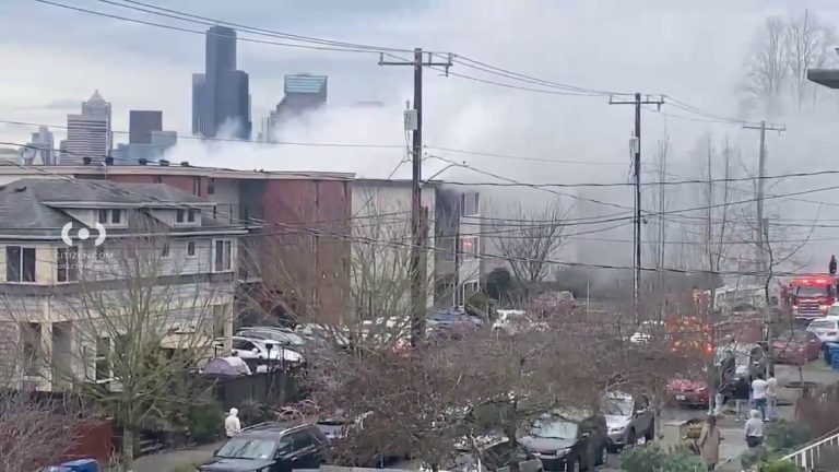 2 cats dead, 2 people injured in Beacon Hill condo fire
