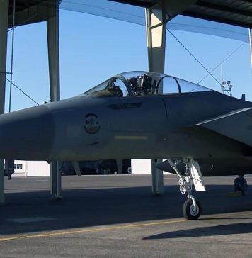 Washington pilot takes pride in leading flyover at Seahawks’ NFC Championship game