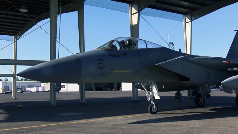 Washington pilot takes pride in leading flyover at Seahawks’ NFC Championship game