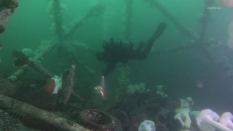 Mukilteo’s scuba diving park plan hits rough waters